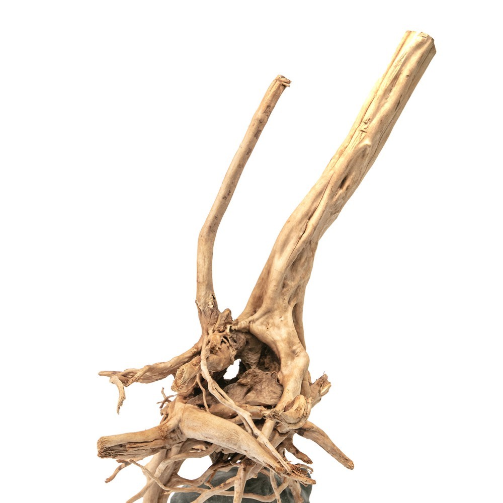 AQPET Legno Naturale Stump Wood Extra Large AQPET Legno Naturale Stump Wood Extra Large